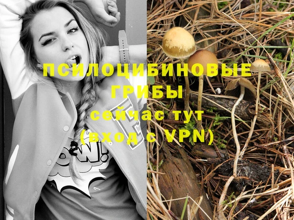 трава Алзамай
